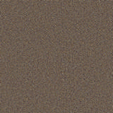 Camira Synegy LDS33.jpg